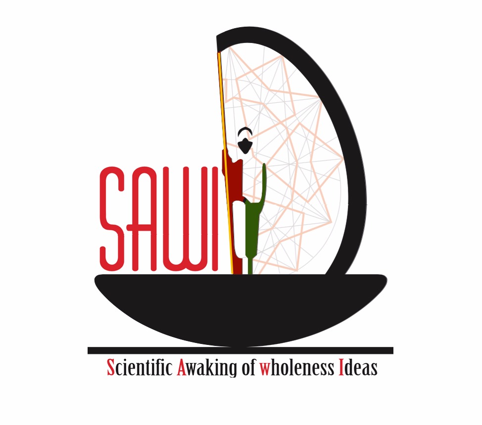 sawiacademy.com